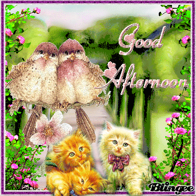 greeting