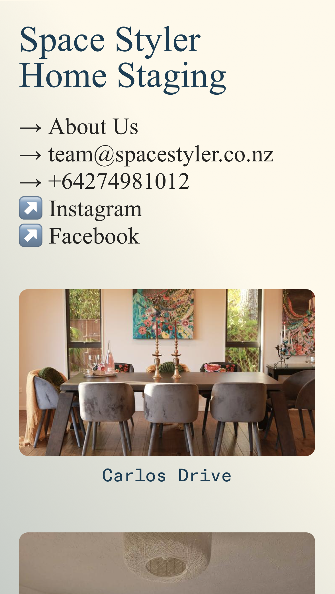 Space Styler, Website